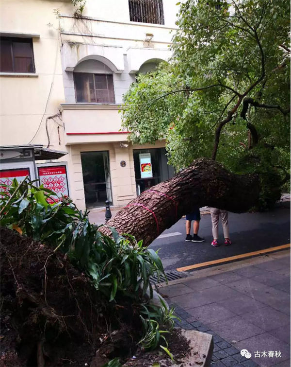 _(ti)L(fng)^󣬵ľָ